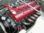 6acd698c.jpg