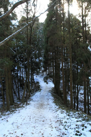 IMG_8436.jpg