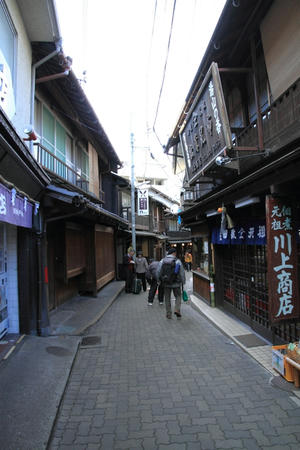 IMG_8470.jpg