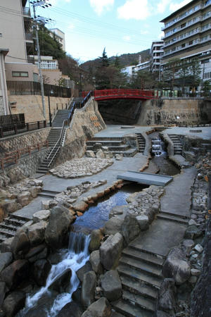IMG_8477.jpg