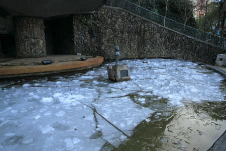IMG_8479.jpg