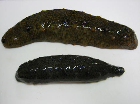 20110304_2228611.jpg
