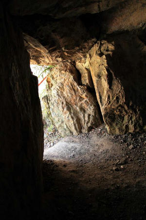 IMG_8790.jpg