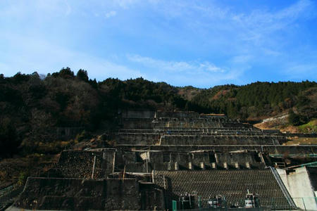 IMG_7976.jpg