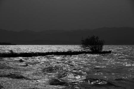 IMG_9625.jpg