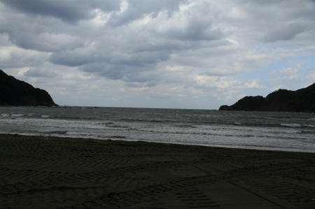 IMG_5996.jpg