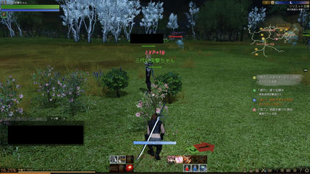 ScreenShot0079.jpg