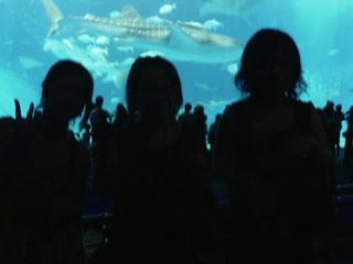 78c0398b.jpg