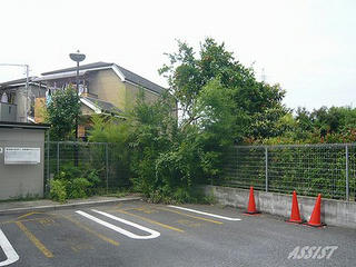 P100058sushiP.jpg