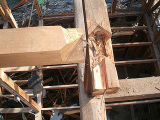 ea5418a0.jpg