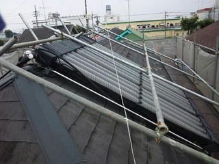 屋根の苔