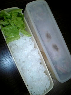 お弁当を冷凍庫からだしました
