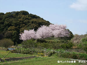 山の風景