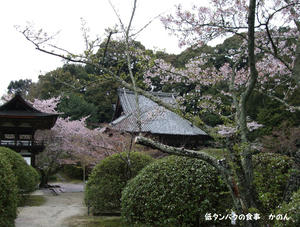 長岳寺