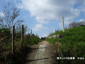 こんな感じの道を歩いてきました。