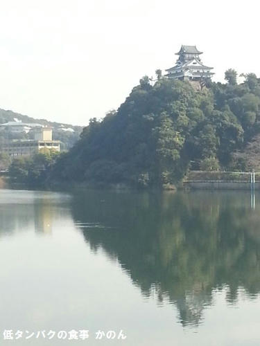 ライン橋から見る犬山城