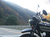 kouyou_bike.jpg