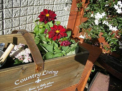 gardening.jpg