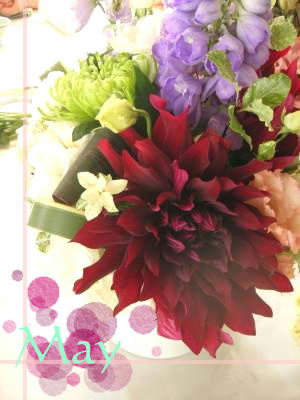flowermay1.jpg