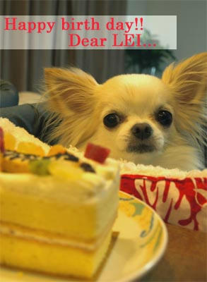 leibirthday.jpg
