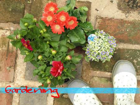gardening2.jpg
