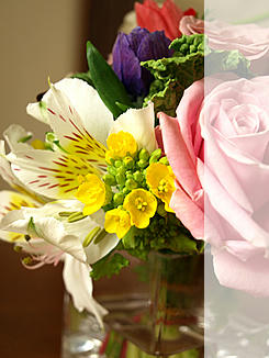 2flower2.jpg