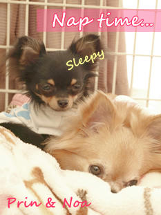 sleepy.jpg