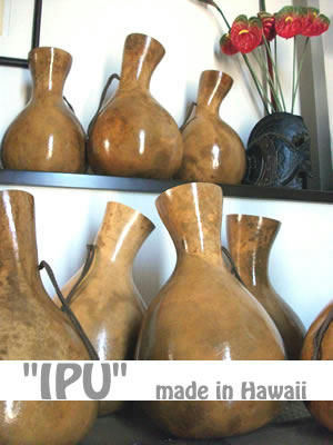 ipu.jpg