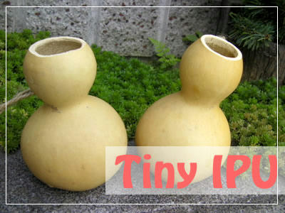 tinyipu.jpg