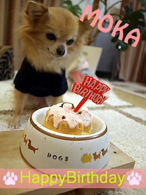 mokabirthday7.jpg