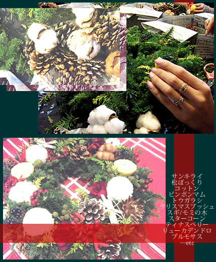 201012flower3.jpg