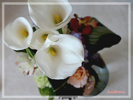 201105flower.jpg