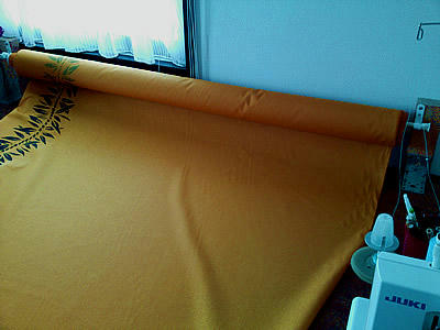 SN3O0152.jpg