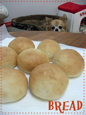 BREAD1.jpg