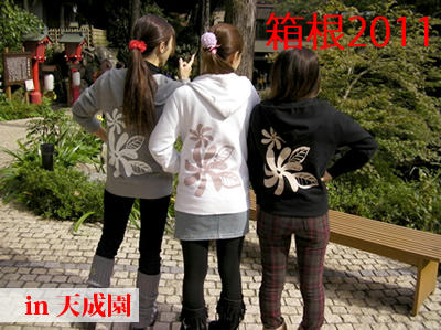 hakone2011.jpg