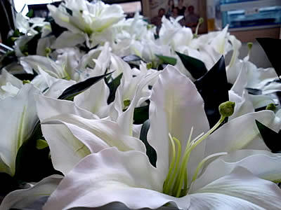 mini_111108_1304.jpg