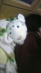 DVC00052.JPG