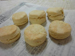 s-DSC01431.jpg