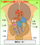 体内メーカーダイエット