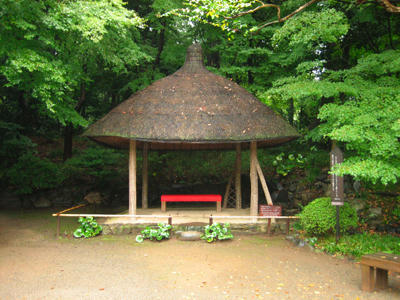 1303576453_28.jpg