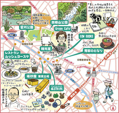 aobadai.jpg