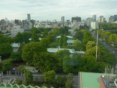 RIMG1681.JPG
