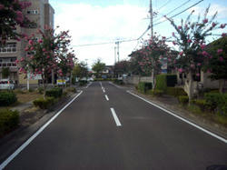 200908252.jpg
