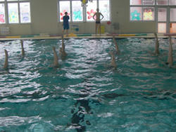 20091245.jpg