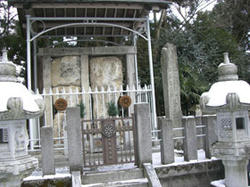 201002142.jpg
