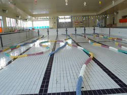 20110406.jpg
