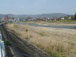 201104272.jpg