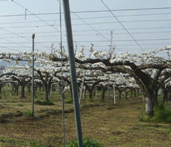 201104273.jpg