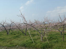 201104274.jpg