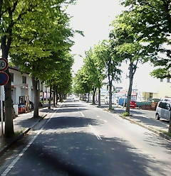 20110516.jpg